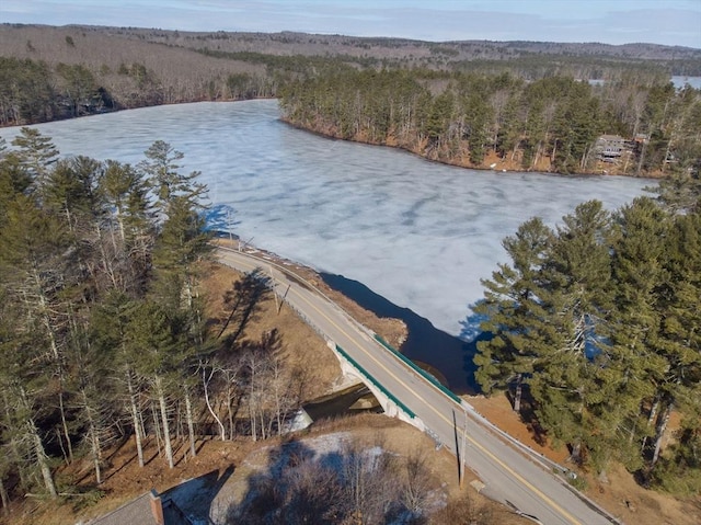 drone / aerial view with a forest view and a water view