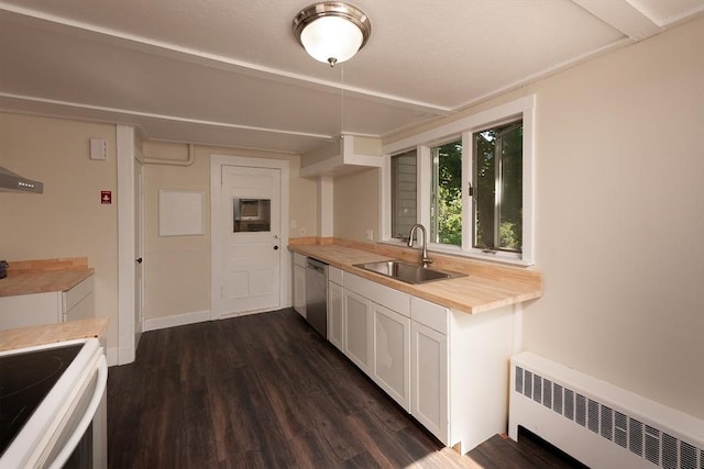 kitchen featuring radiator, dark wood-style flooring, a sink, white cabinetry, and stainless steel dishwasher