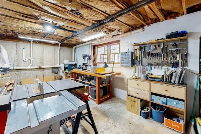 below grade area with a workshop area