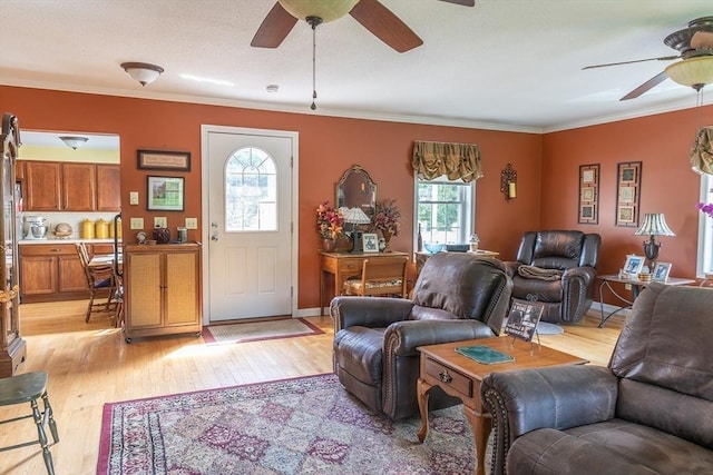 224 Palmer Rd, Monson, MA 01057 - living area featuring ceiling fan, ornamental molding, and light wood finished floors