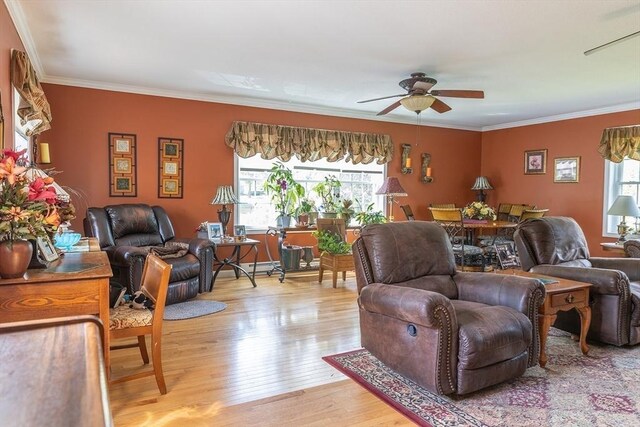 224 Palmer Rd, Monson, MA 01057 - living room featuring ceiling fan, light wood-style floors, and crown molding