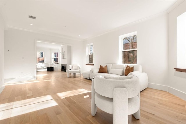 living room featuring ornamental molding, light hardwood / wood-style floors, and a healthy amount of sunlight