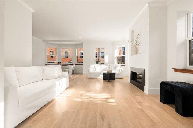2A Milford St Unit 3, Boston, MA 02118 - living room with recessed lighting, baseboards, ornamental molding, and light wood-type flooring