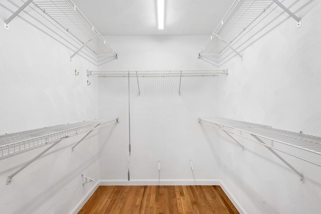 walk in closet featuring hardwood / wood-style flooring