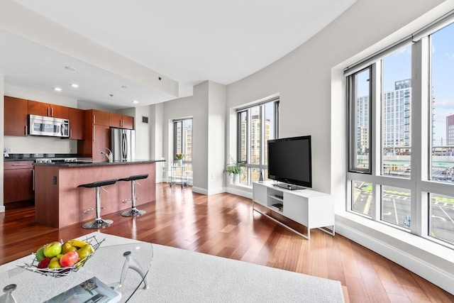 living room featuring wood-type flooring