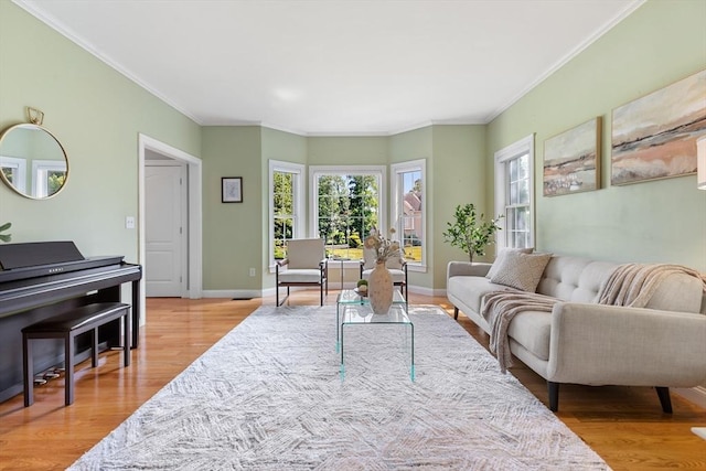 20 Hillside Dr, Georgetown, MA 01833 - living room with light wood-type flooring and crown molding