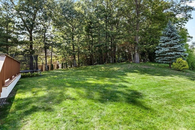 20 Hillside Dr, Georgetown, MA 01833 - view of grassy yard with a trampoline