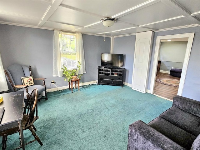 4 Randall Rd, Mattapoisett, MA 02739 - living area with baseboards, carpet flooring, and coffered ceiling