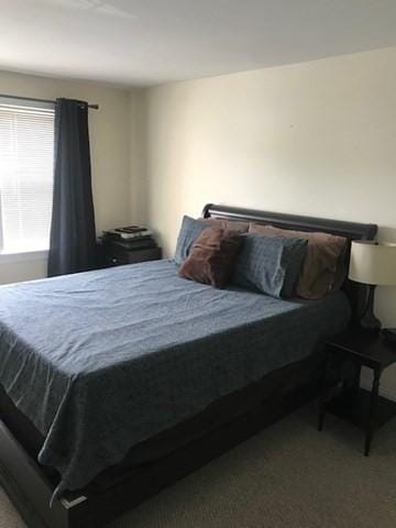 1 Millbrook Ln Unit 201, Wakefield, MA 01880 - bedroom with carpet