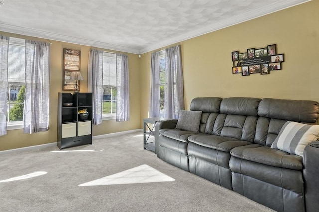 15 Whitewood Cir, Amesbury, MA 01913 - living area with baseboards, crown molding, and carpet floors