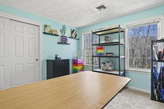 15 Whitewood Cir, Amesbury, MA 01913 - home office with a wealth of natural light, carpet flooring, visible vents, and baseboards