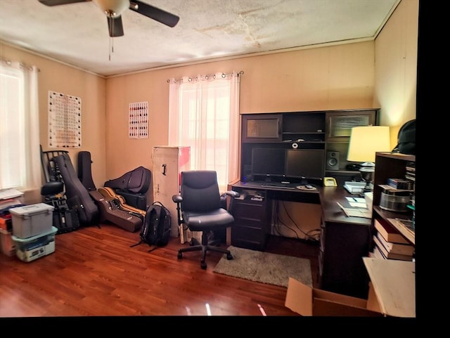 6 Cleveland Ave, Westfield, MA 01085 - office area featuring ceiling fan and wood finished floors