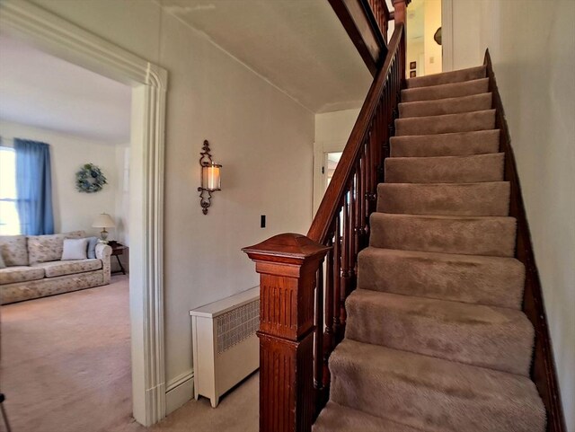 6 Cleveland Ave, Westfield, MA 01085 - staircase with carpet