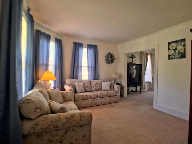 6 Cleveland Ave, Westfield, MA 01085 - living area with baseboards and light carpet