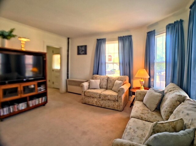 6 Cleveland Ave, Westfield, MA 01085 - living room featuring carpet