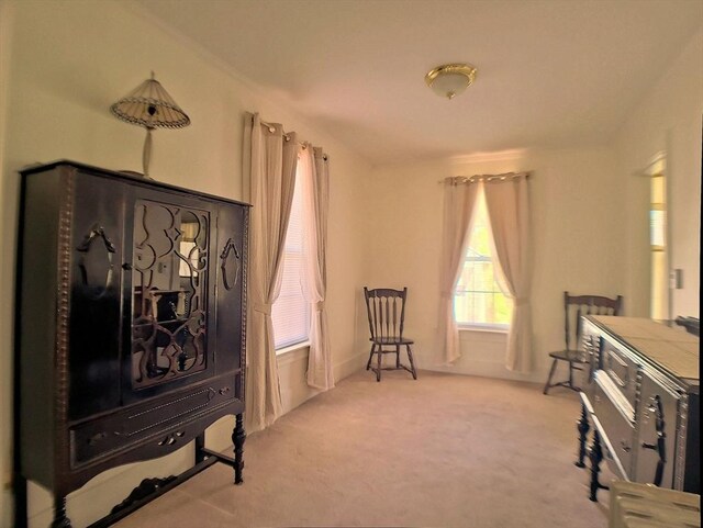 6 Cleveland Ave, Westfield, MA 01085 - sitting room featuring carpet flooring