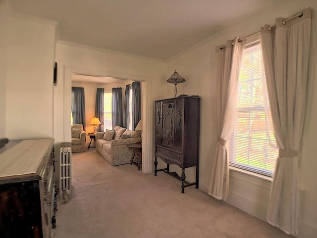 6 Cleveland Ave, Westfield, MA 01085 - living room featuring light colored carpet and ornamental molding