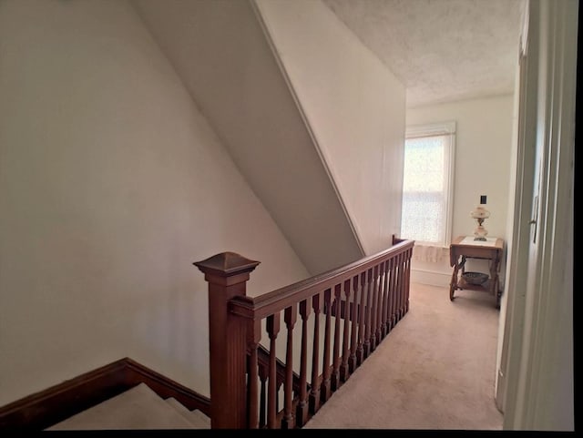 6 Cleveland Ave, Westfield, MA 01085 - staircase with baseboards, carpet flooring, and a textured ceiling