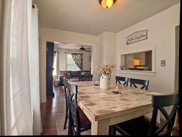 6 Cleveland Ave, Westfield, MA 01085 - dining space featuring ceiling fan and dark wood-type flooring