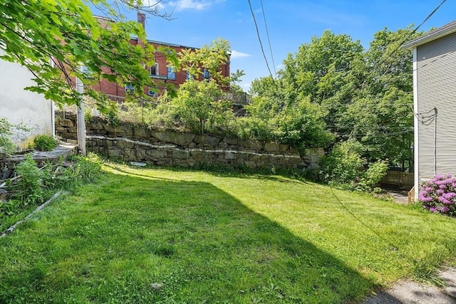 150 Belmont St, Worcester, MA 01605 - view of yard