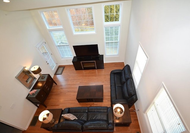 living room with hardwood / wood-style floors, a towering ceiling, and a healthy amount of sunlight