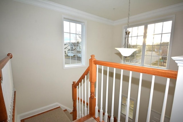 staircase with hardwood / wood-style flooring and crown molding