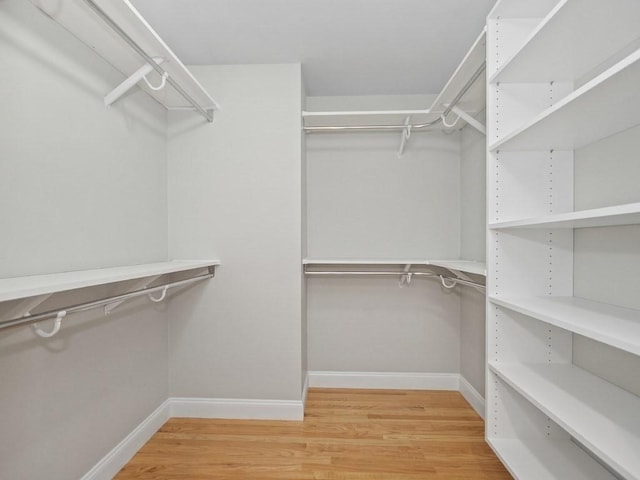 walk in closet featuring hardwood / wood-style floors