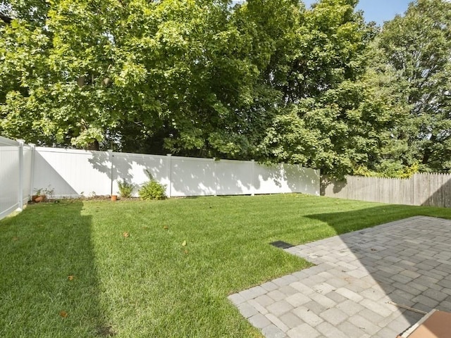 view of yard featuring a patio area