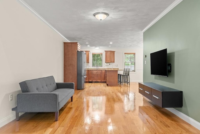 41 Winter Ln Unit 41, Tewksbury, MA 01876 - living area featuring light wood finished floors, baseboards, and crown molding