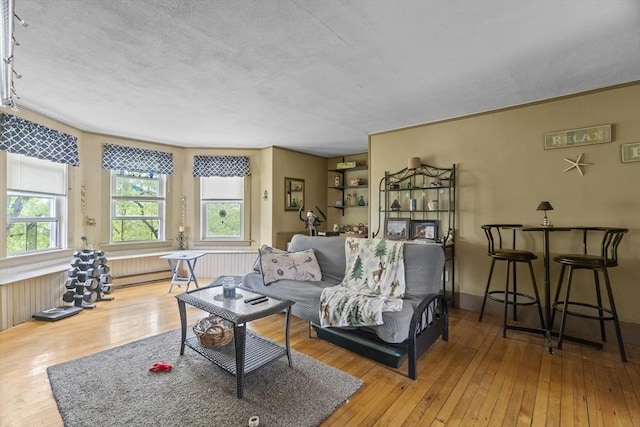 51 Prospect St, Webster, MA 01570 - living room featuring wood-type flooring