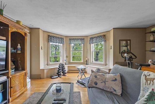 51 Prospect St, Webster, MA 01570 - living room with light wood finished floors and a textured ceiling