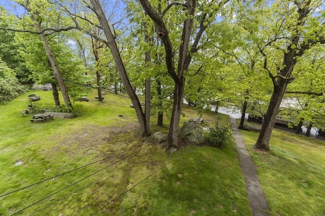 51 Prospect St, Webster, MA 01570 - view of grassy yard