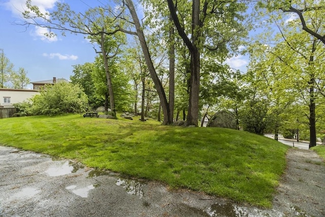 51 Prospect St, Webster, MA 01570 - view of green lawn