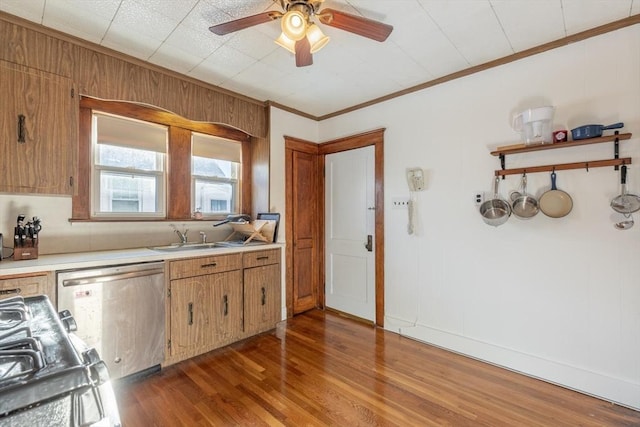 kitchen with wood-type flooring, sink, ornamental molding, ceiling fan, and stainless steel dishwasher