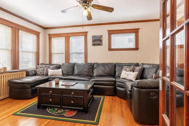 living room featuring ceiling fan, radiator heating unit, crown molding, and light wood-type flooring