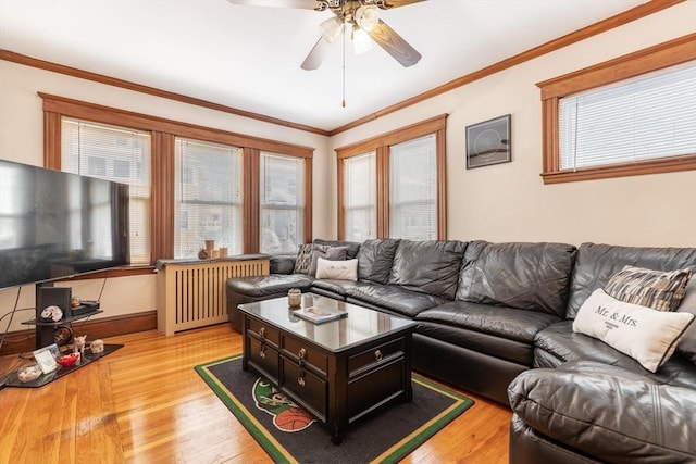 living room with light hardwood / wood-style floors, radiator heating unit, ornamental molding, and ceiling fan