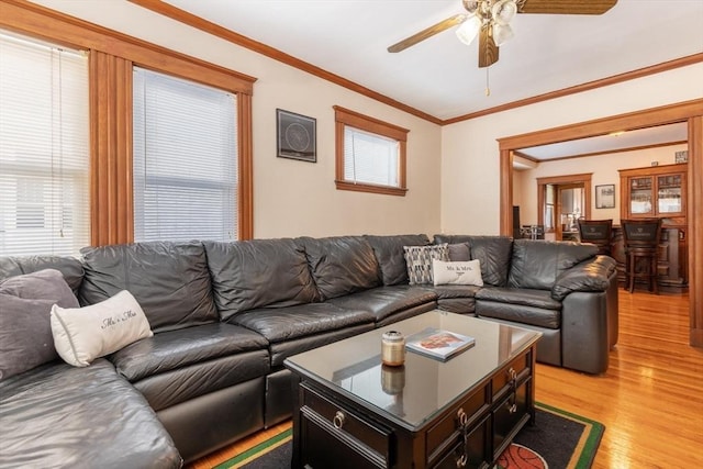 living room with ceiling fan, crown molding, and light wood-type flooring