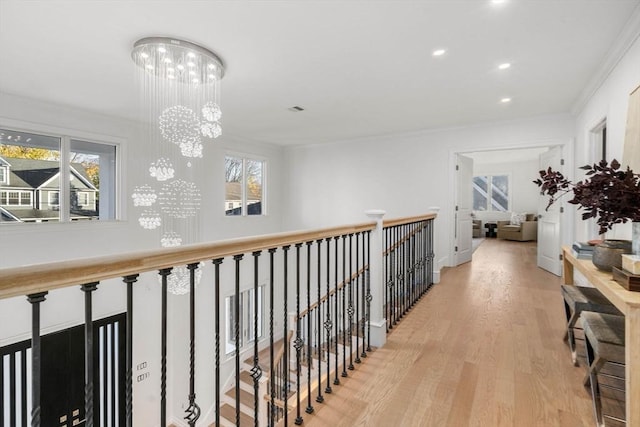 corridor with an inviting chandelier, light hardwood / wood-style floors, and a wealth of natural light