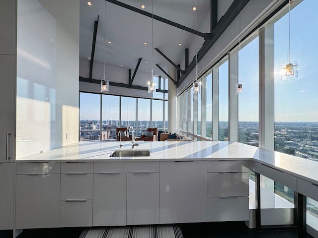 kitchen featuring a wealth of natural light, sink, and a high ceiling