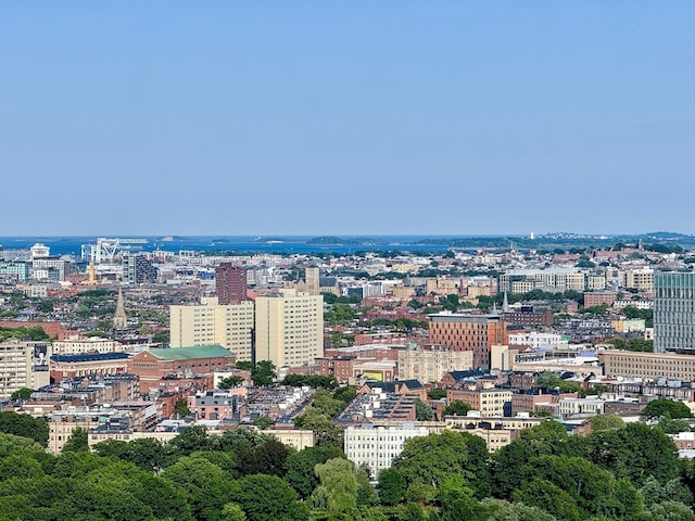 property's view of city