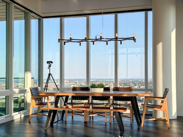 dining room with dark wood-type flooring