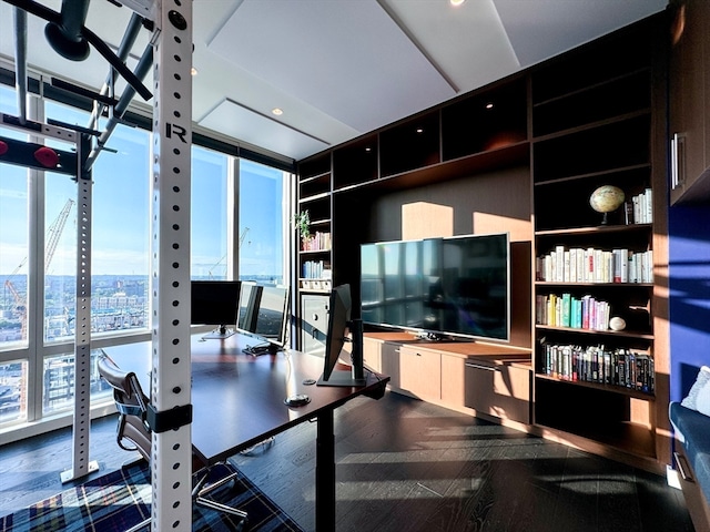 office area with built in shelves and expansive windows