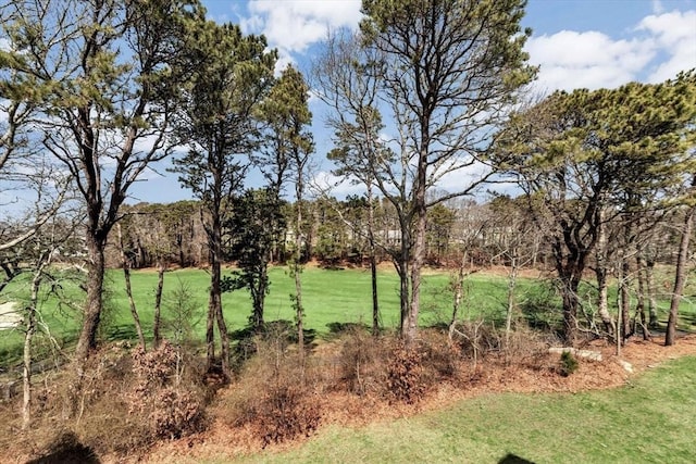 view of local wilderness