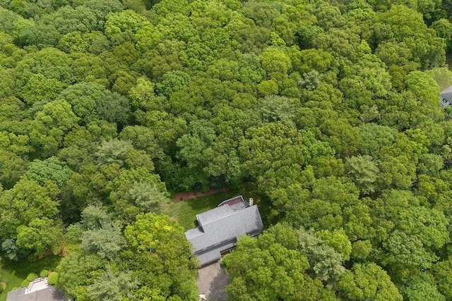 230 Prospect St, Franklin, MA 02038 - aerial view of a forest