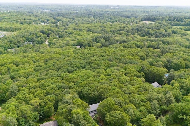 230 Prospect St, Franklin, MA 02038 - aerial view of a forest