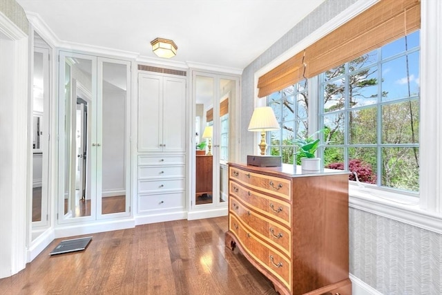 walk in closet featuring dark wood-type flooring