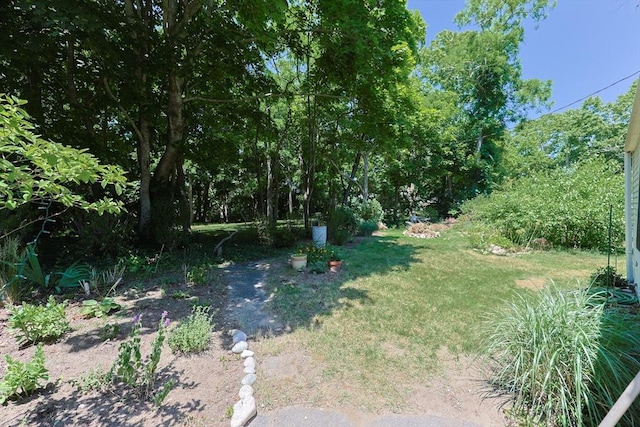 5 Pleasant St, Bourne, MA 02532 - view of green lawn