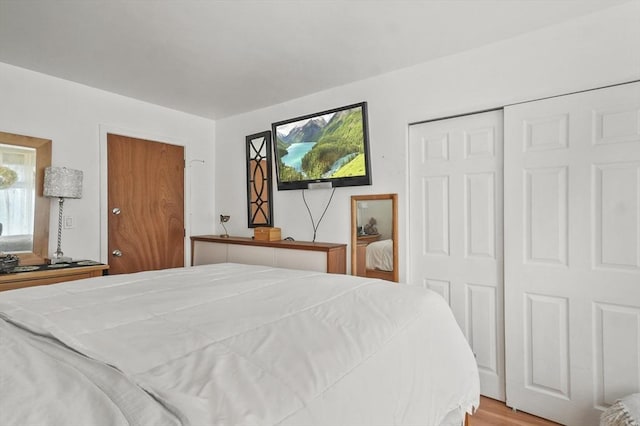 29 Vine St Unit 8, Winchester, MA 01890 - bedroom featuring a closet and light wood finished floors