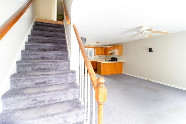 staircase with ceiling fan and carpet floors