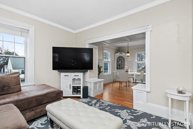 living area featuring crown molding and wood finished floors